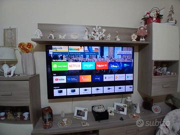sony 65 pollici funzionante