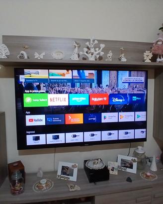 sony 65 pollici funzionante