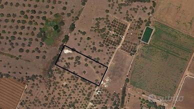 TERRENO ZONA FONTANE BIANCHE