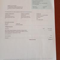 Bicicletta elettrica con pedalata assistita