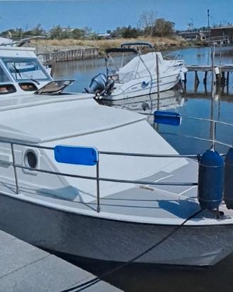 Coronet 24 famili castom