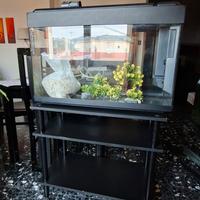Acquario per pesci e tartarughe 108 LT