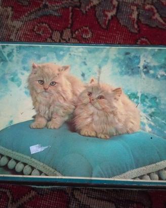 scatola latta vintage 