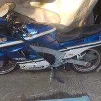 Kawasaki ZX 10 Tomcat 