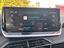 Immagine 15