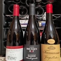 lotto Pinot nero riserva Sud Tirol e oltre po' 