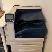 stampante Xerox Phaser 7800