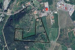 Terreno Agricolo Patti [Cod. rif 3262445VCG]