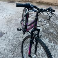 Bici montana