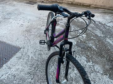Bici montana