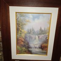 vari quadri a partire da 30 euro fino a 60 