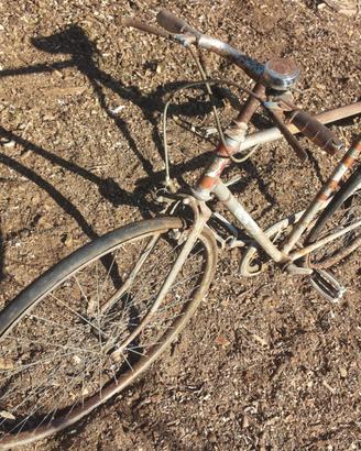 Bicicletta Frejus