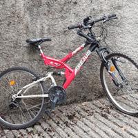 Bicicletta mountain bike (MTB) da donna