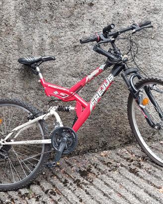 Bicicletta mountain bike (MTB) da donna