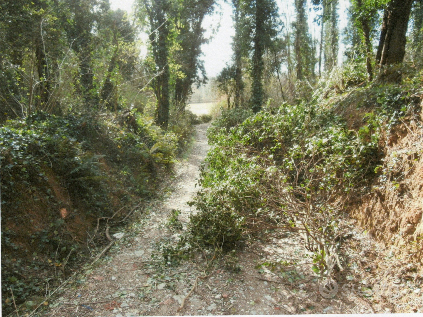 Terreno agricolo incolto a Casciana Terme di Lari - Vista 2