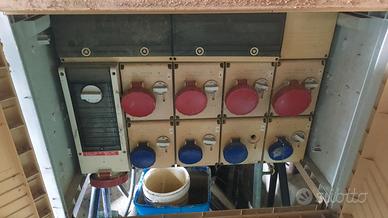 quadri elettrici 