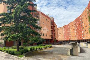 5 LOCALI A ROMA