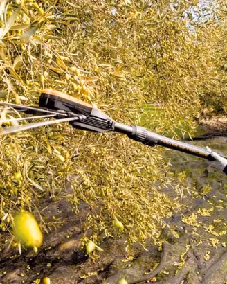 Raccolta olive con reti e abbacchiatori pellenc 