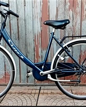 Bici da passeggio 