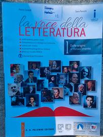 La voce della letteratura