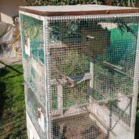 Voliera per uccelli