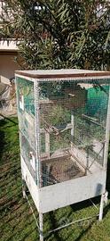 Voliera per uccelli