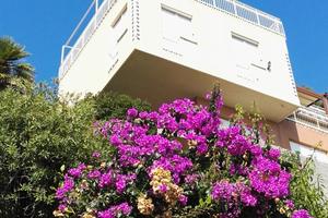 Splendido appartamento sul mare