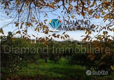 Soluzione singola con terreno a Macchia di Giarre