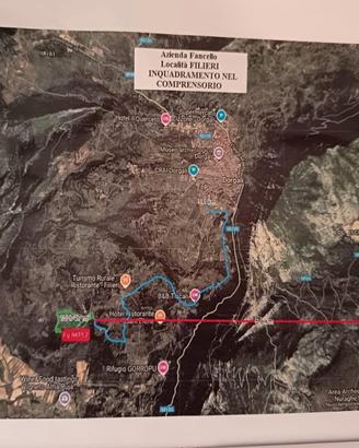 Terreno agricolo: 10 ettari a Dorgali
