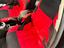 Immagine 12