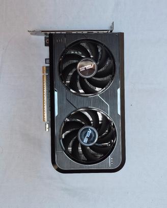 Scheda video ASUS Geforce RTX 5050 Dual 8GB - Perf