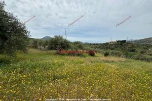 Terreno, Termini Imerese.