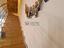 Immagine 24
