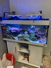 ACQUARIO MARINO E DOLCE 250lt COMPLETO Di TUTTO