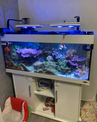 ACQUARIO MARINO E DOLCE 250lt COMPLETO Di TUTTO