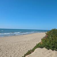 Torvaianica estate 2026