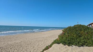 Torvaianica estate 2026