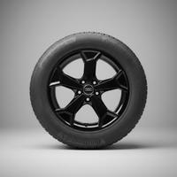 Set 4 Cerchi Originali Audi 17" - 6.5Jx17 ET38