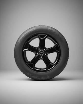 Set 4 Cerchi Originali Audi 17" - 6.5Jx17 ET38