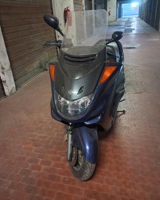 yamaha majesty 250
