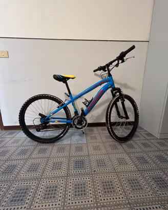 Bicicletta mountain bike lombardo tropea 24’’