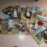 Enciclopedia gli animali e la loro vita