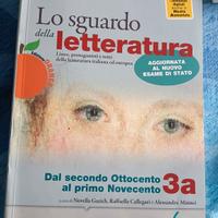 lo sguardo della letteratura il 900 e oltre 3a 3b