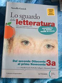 lo sguardo della letteratura il 900 e oltre 3a 3b