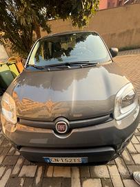 Fiat Panda 70 CV IBRIDA in perfette condizioni