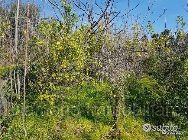 Terreno 4,2 ettari a Giarre - Vista 2