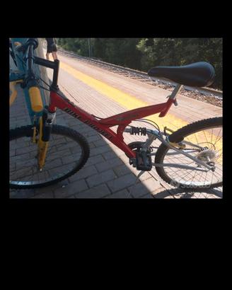 montain bike ruote 26
