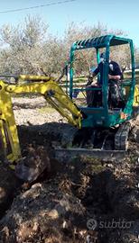 yanmar 15 quintali