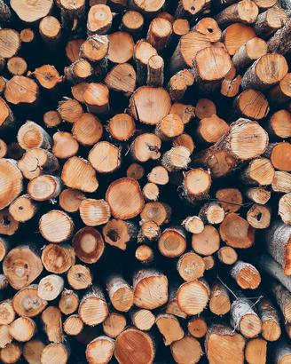 LEGNA CAMINO DA ALBERI FRUTTA