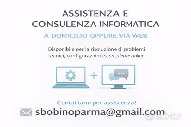 Assistenza / consulenza informatica